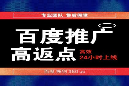 SEM托管服务，成功案例深度分析
