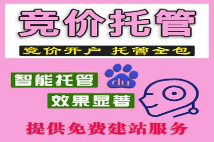 探索sem代运营推广公司如何打造高效的广告投放策略